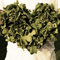 Why Kale Is Good For Your Heart