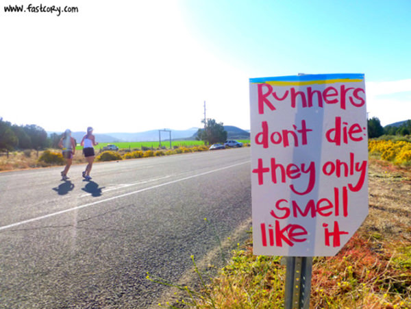 Funniest Running Signs #i: Runners don't die. They only smell like it.