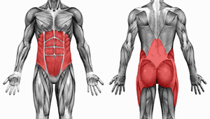 core muscles