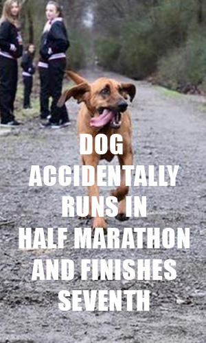 A dog that was let out of her home by her owner in Alabama, ended up running in a local half-marathon on her own accord and finished in seventh place.
