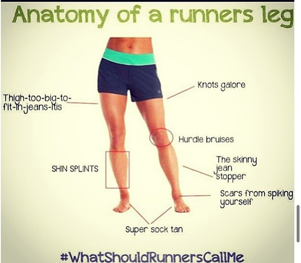 Funnies You'll Enjoy It You're A Runner #13: Anatomy of a Runner's Leg