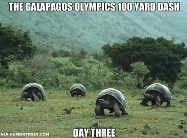 Funnies You'll Enjoy It You're A Runner #1: The Galapagos Olympics 100 Yard Dash.
