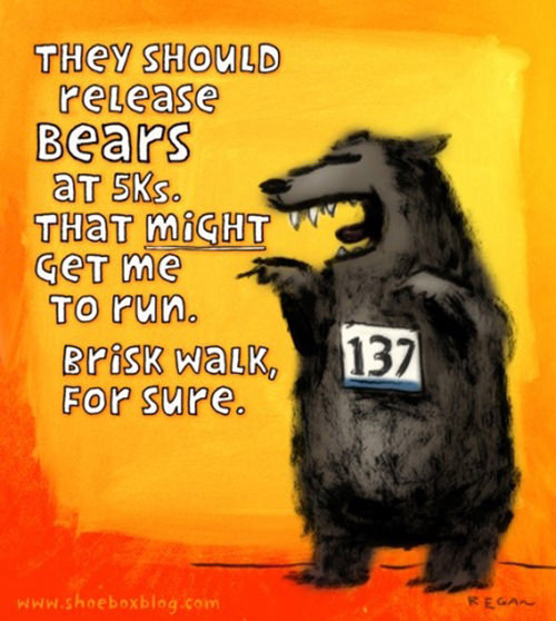Runner Humor #2: They should release bears at 5Ks. That might get me to run. Brisk walk, for sure.