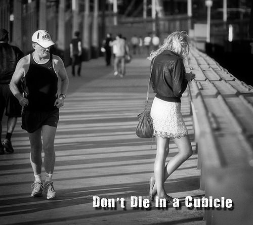 Runner Humor #14: Don't die in a cubicle. Go running.