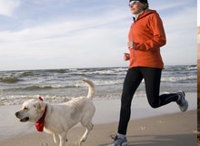 The 15 Best Dog Breeds For Running