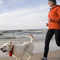 The 15 Best Dog Breeds For Running