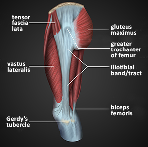 itb diagram