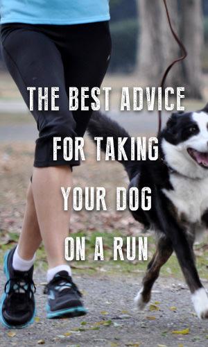 Man's (and woman's) best friend can also make an excellent running partner! But before the two of you hit the trails, take a moment to consider how to prepare and stay safe.