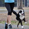 The Best Advice For Taking Your Dog On A Run