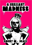 A Brilliant Madness :  - by Robert M. Drake 