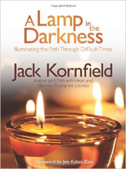 A Lamp in the Darkness : Illuminating the Path Through Difficult Times<br />