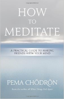 How to Meditate : A Practical Guide to Making Friends with Your Mind<br />