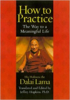 How to Practice : The Way to a Meaningful Life - by Dalai Lama 