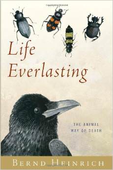 Life Everlasting : The Animal Way of Death - by Bernd Heinrich