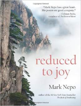 Reduced to Joy : 