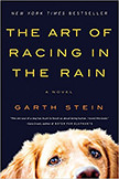 The Art of Racing in the Rain : 