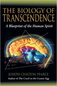 The Biology of Transcendence : A Blueprint of the Human Spirit - by Joseph Chilton Pearce 