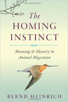 The Homing Instinct : Meaning and Mystery in Animal Migration - by Bernd Heinrich