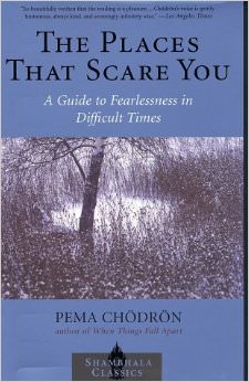 The Places that Scare You : A Guide to Fearlessness in Difficult Times<br />