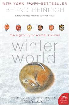 Winter World : The Ingenuity of Animal Survival - by Bernd Heinrich