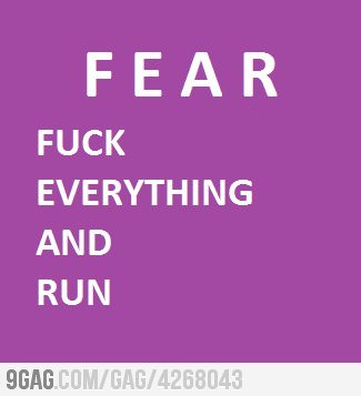 Runner Things #1012: F.E.A.R. Fuck Everything And Run. 