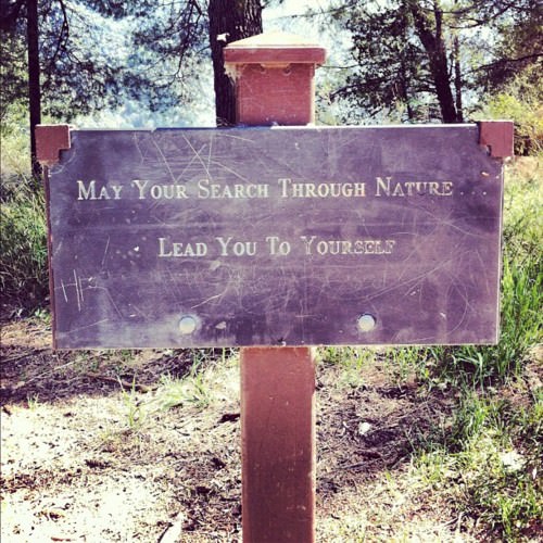 Runner Things #828: May your search through nature lead you to yourself. 
