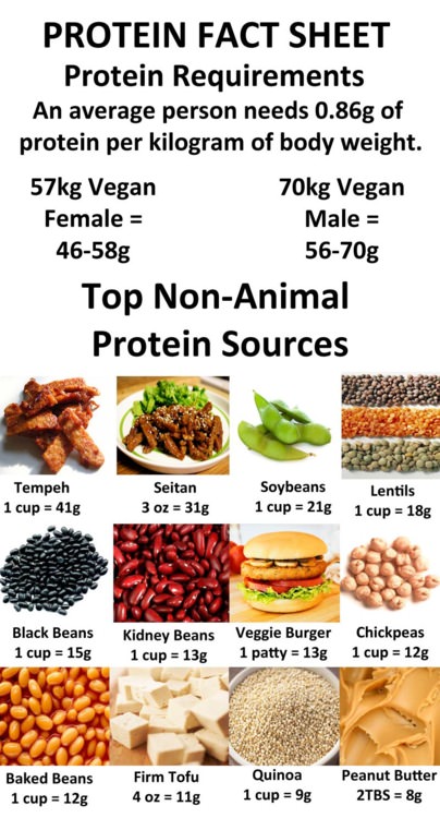 Runner Things #861: Protein Fact Sheet. 