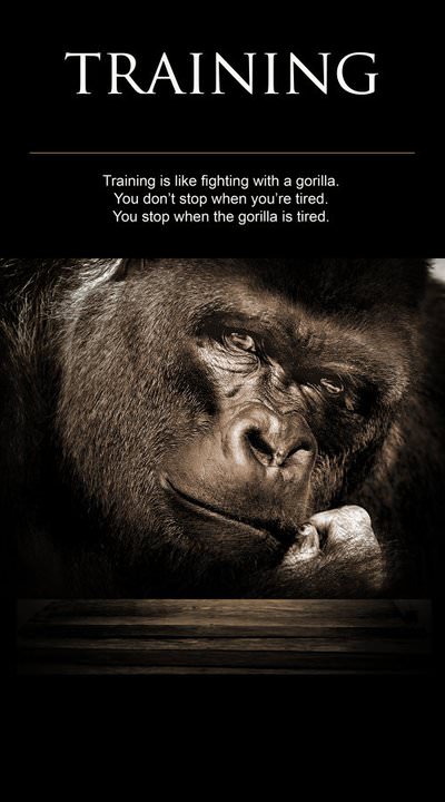 Runner Things #863: Training is like fighting with a gorilla. You don't stop when you're tired. You stop when the gorilla is tired.  - fb,fitness