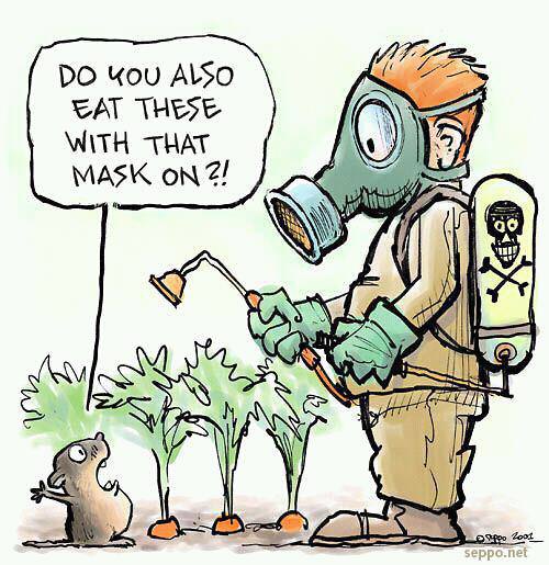 Runner Things #1089: Do you also eat these with that mask on? - fb,nutrition