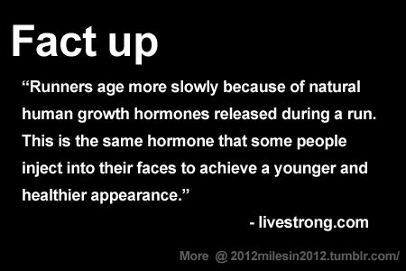Runner Things #1282: Runners age more slowly because of natural human growth hormones released during a run. This is the same hormones that some people inject into their face to achieve a younger and healthier appearance. - fb,running