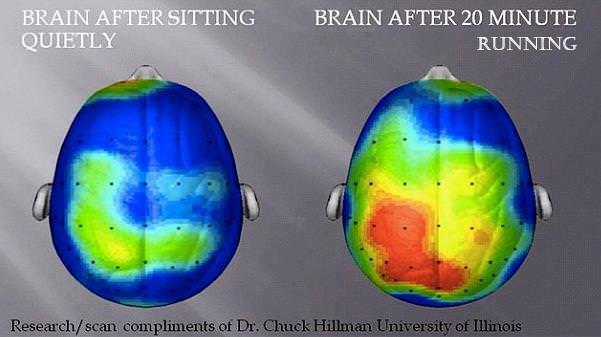 Runner Things #1346: Brain after sitting quietly. Brain after 20 minute running. - fb,running
