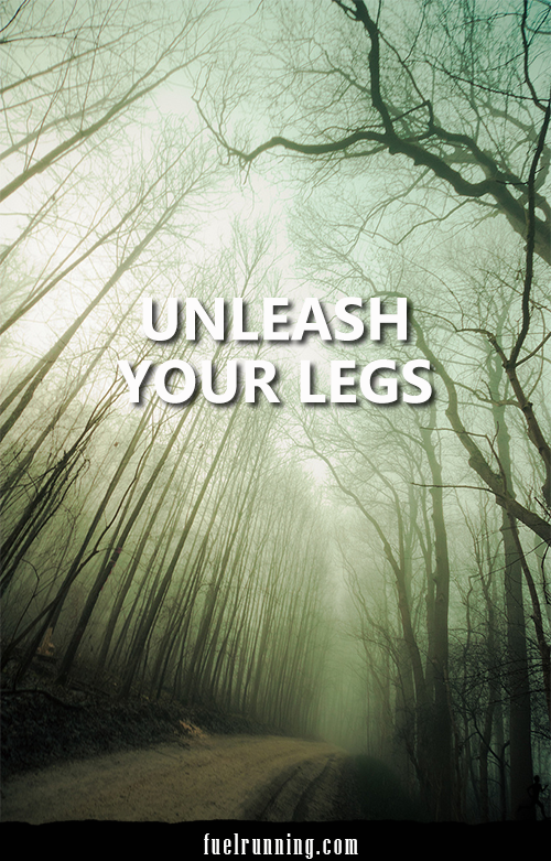 Runner Things #1548: Unleash your legs.