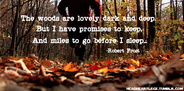 Runner Things #1871: The woods are lovely dark and deep, but I have promises to keep, and miles to go before I sleep.- Robert Frost - Robert Frost