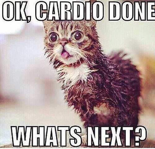 Fitness Humor #2: Ok, cardio done. What's next.