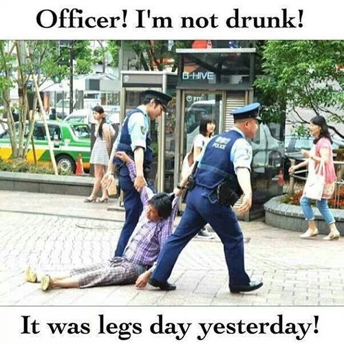 Fitness Humor #12: Officer, I'm not drunk. It was leg day yesterday! - fb,fitness-humor,leg-day