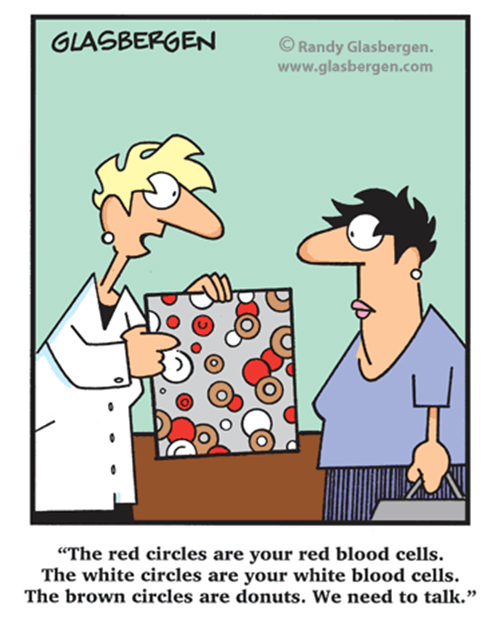 Fitness Humor #36: The red circles are you red blood cells. The white circles are your white blood cells. The brown circles are donuts. We need to talk.
