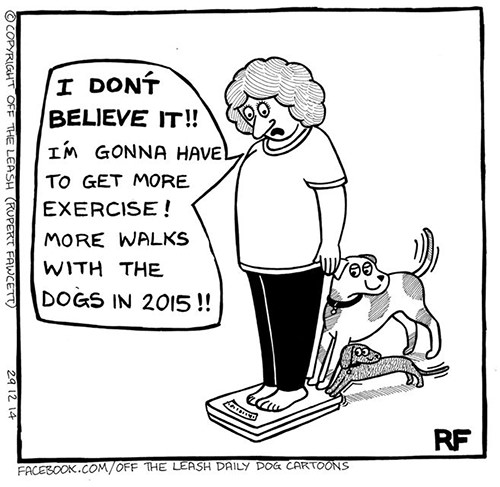 Fitness Humor #71: I don't believe it! I'm gonna have to get more exercise! More walks with the dogs in 2015. - Funny Dog Cartoon