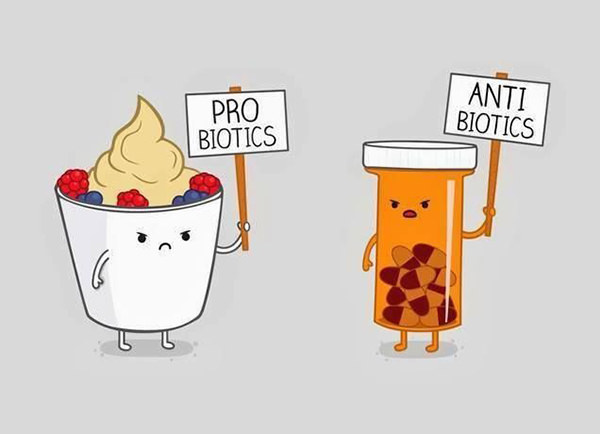 Fitness Humor #89: Probiotics vs Antibiotics