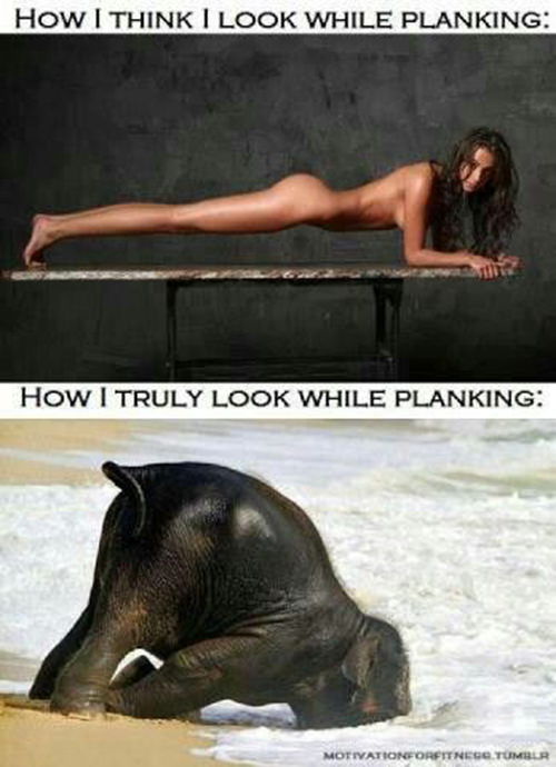 Fitness Humor #97: How I think I look while planking. How I truly look while planking.