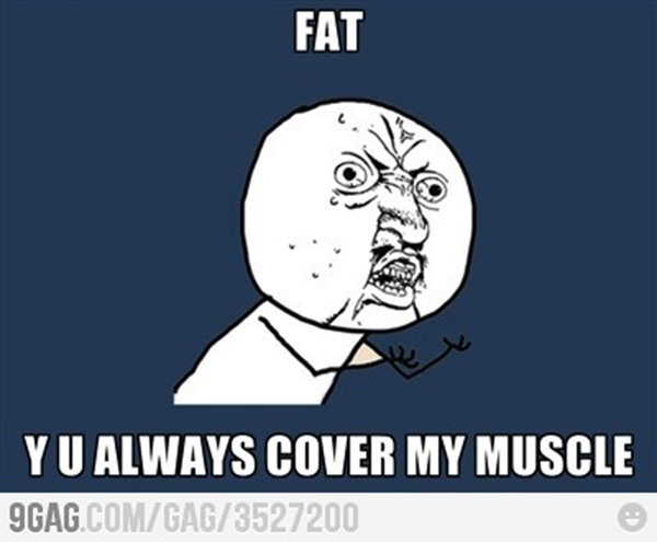 Fitness Humor #110: Fat. Y U always cover my muscle. - fb,fitness-humor