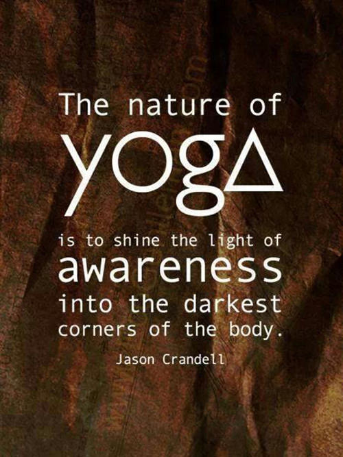 Fitness Matters #36: The nature of yoga is to shine the light of awareness into the darkest corners of the body.