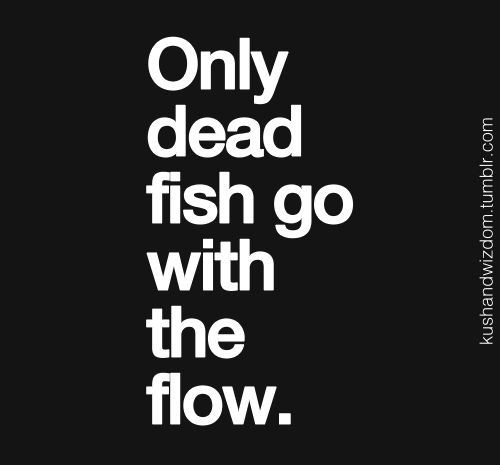 Fitness Matters #56: Only dead fish go with the flow. - fb,fitness