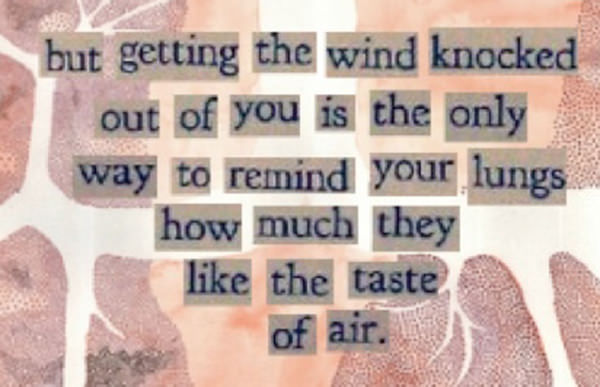 Fitness Matters #65: But getting the wind knocked out of you is the only way to remind your lungs how much they like the taste of air. - fb,fitness