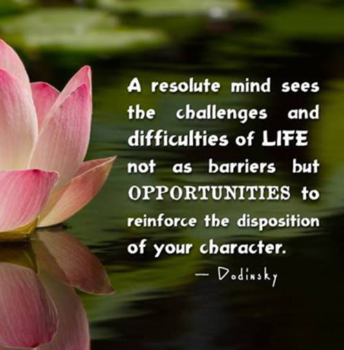 Fitness Matters #89: A resolute mind sees the challenges and difficulties of life not as barriers but opportunities to reinforce the disposition of your character. - Dodinsky