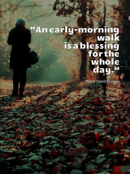 Fitness Matters #183: An early-morning walk is a blessing for the whole day. - Henry David Thoreau - fb,fitness