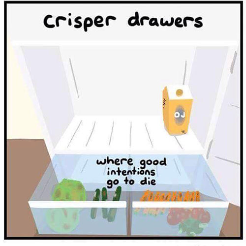 Food Humor #35: Crisper Drawers. Where good intentions go to die. - fb,food-humor