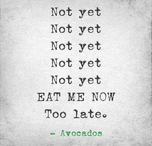 Food Humor #39: Not yet. Not yet. Not yet. Not yet. Not yet. EAT ME NOW. Too late. - Avocados - fb,food-humor