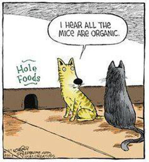 Food Humor #45: I hear all the mice are organic.