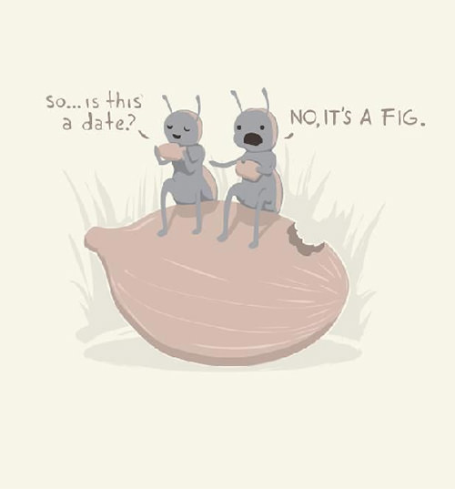 Food Humor #88: So, is this a date? No, it's a fig.