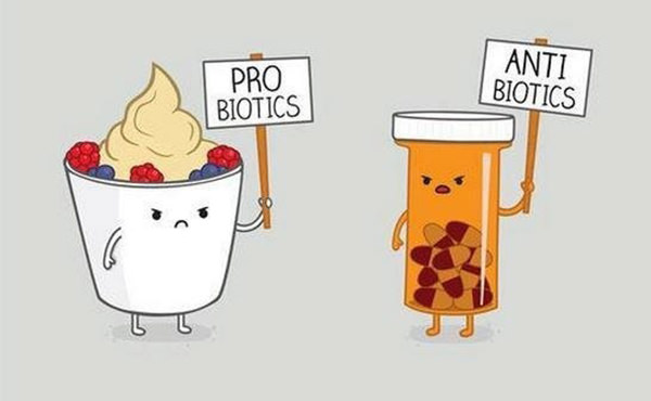 Food Humor #95: Probiotics. Antibiotics.